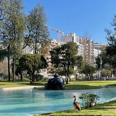 The Swallows Nest Appartement